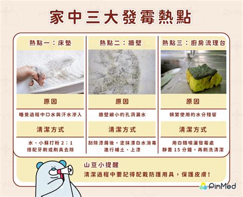 牆壁發黴|家裡潮濕、牆壁發霉怎麼辦？解決辦法看這篇！7招預。